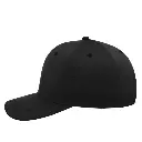 Black_Left_Side_b96d4654-4390-4b05-b15b-7ef7ffafa063.webp