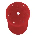 Pigment Washed 5 Panel (copy)